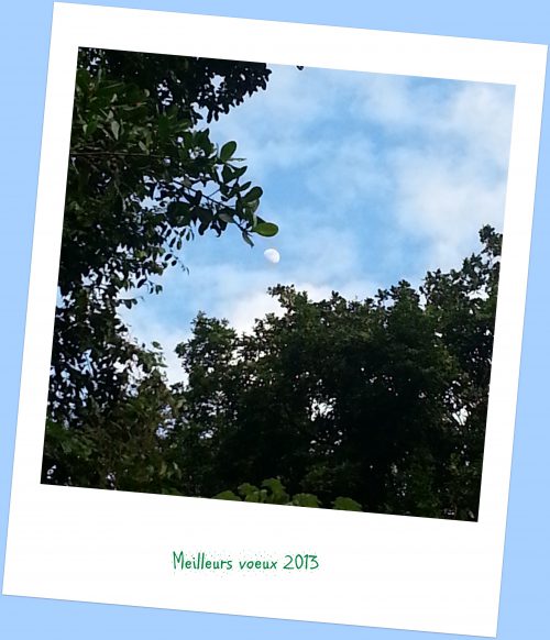 Meilleurs voeux 2013