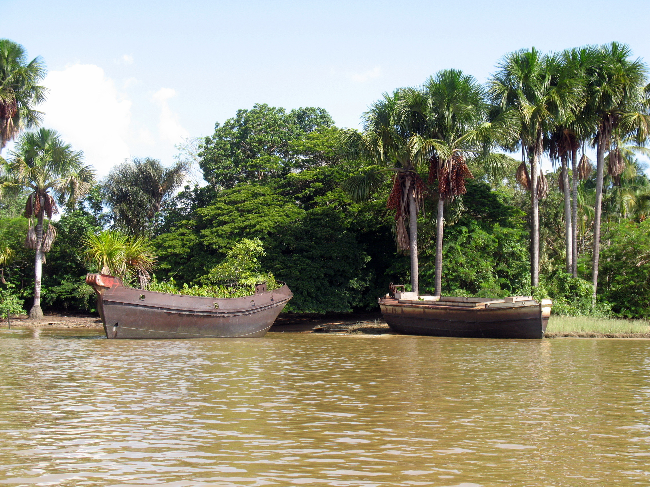 bateaux ayant transportés de la canne à sucre échoués
