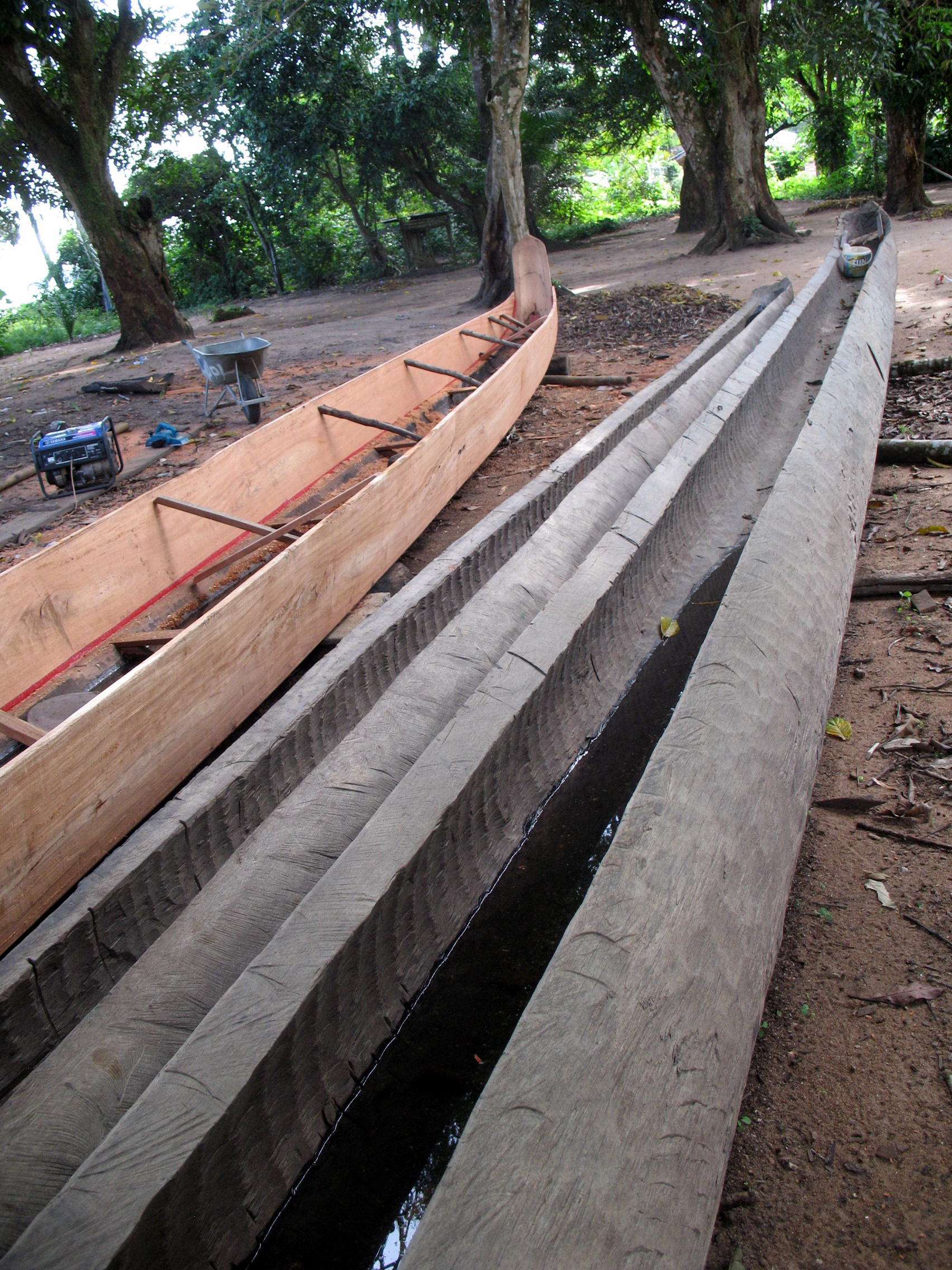 Pirogues en cosntruction
