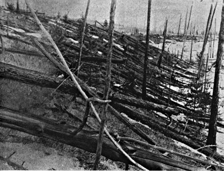Les arbres de la forêt sur la région de Tunguska après la chute de l'astéroîde. Photo prise en 1927 par Leonid Kulik (source NASA)