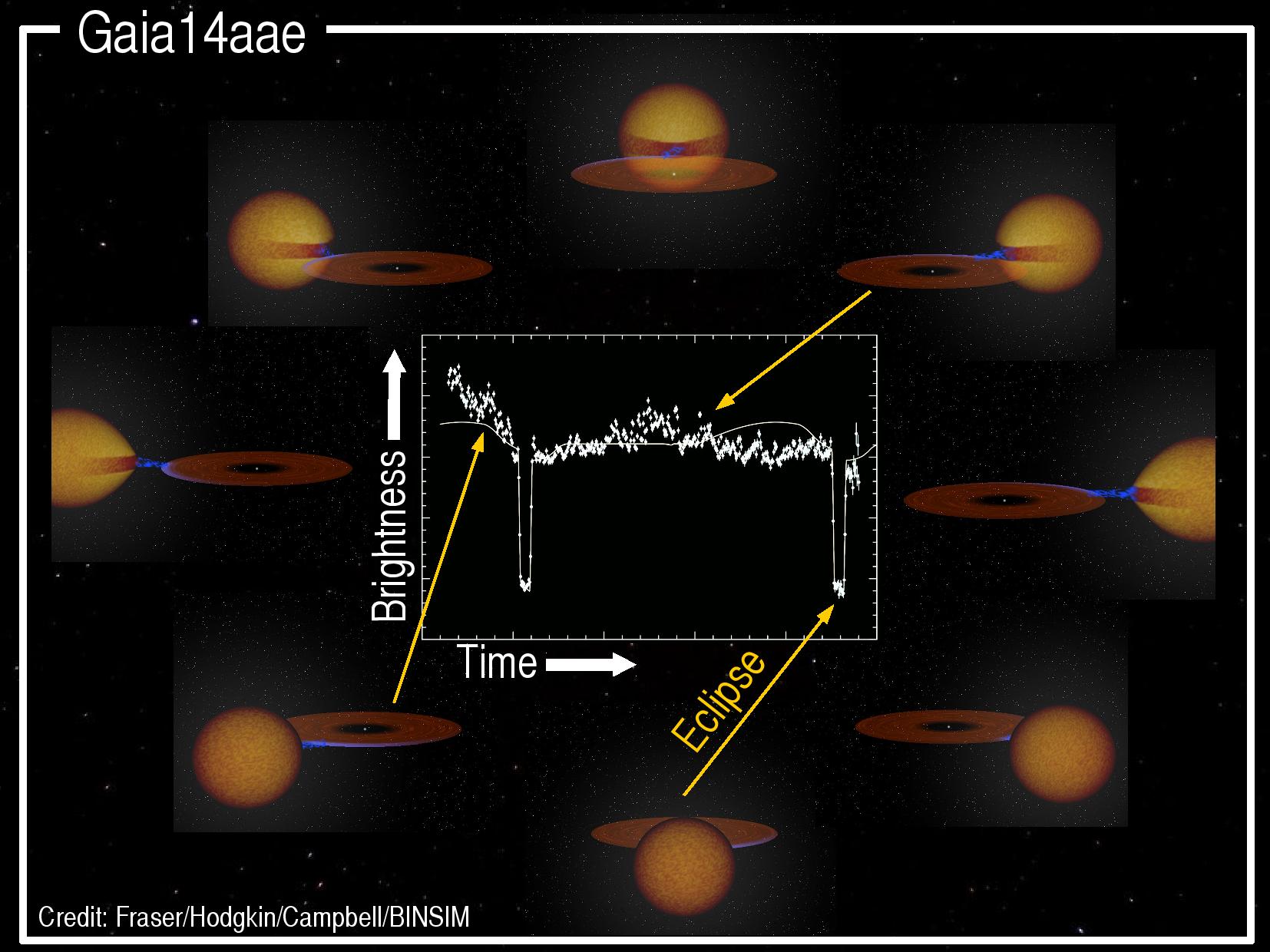 Gaia14aae : le satellite Gaia a découvert un système binaire unique où une étoile est en train de  «manger» l'autre (Image credits: Fraser/Hodgkin/Campbell/BINSIM)